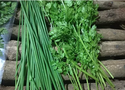 Taste Kenya Exporters