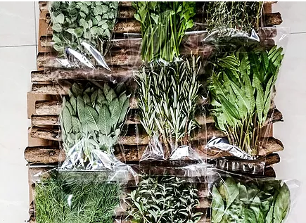 Taste Kenya Exporters