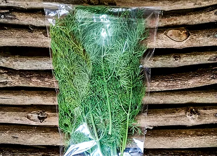 Taste Kenya Exporters