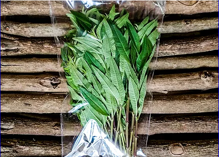 Taste Kenya Exporters