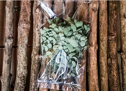 Taste Kenya Exporters