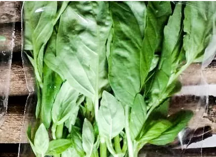 Taste Kenya Exporters