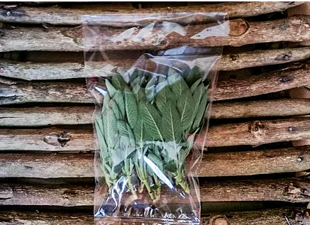 Taste Kenya Exporters