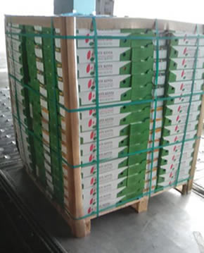 Taste Kenya Exporters