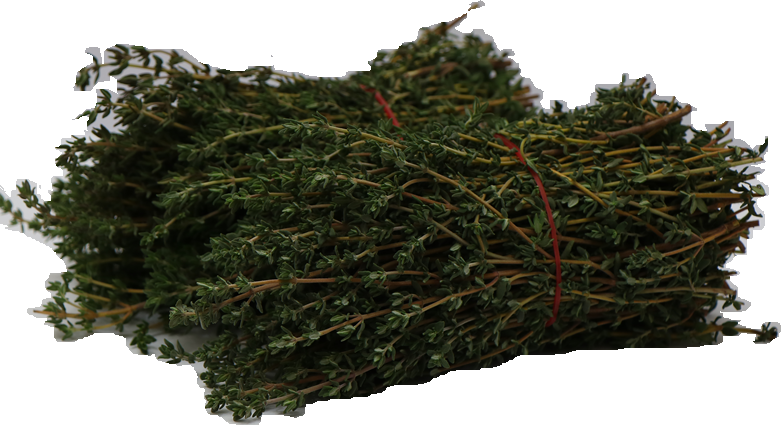 Thyme